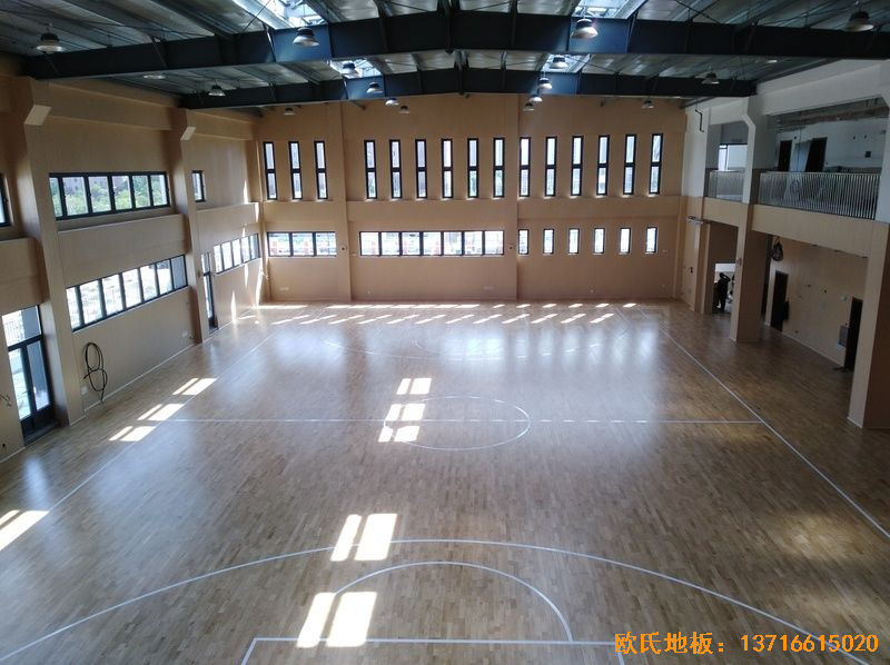 �Ϻ��ζ��^(q��)���С�W(xu��)�w���ذ尲�b����