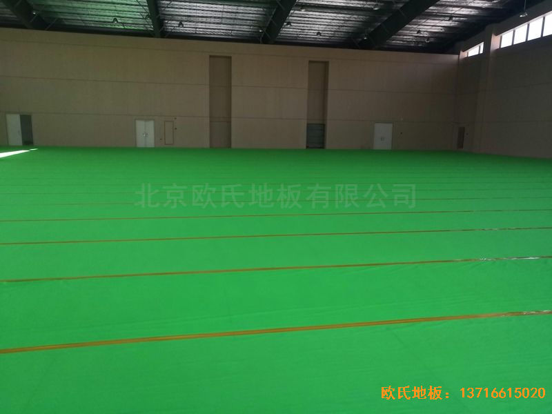 �V����혴���FӢ�ЌW(xu��)�w��ľ�ذ尲�b����