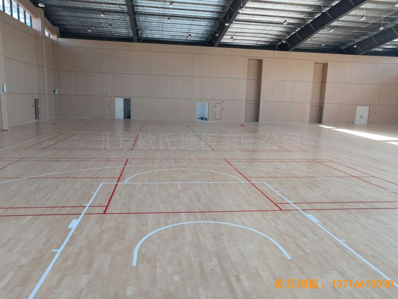 �V����혴���FӢ�ЌW(xu��)�w��ľ�ذ尲�b����