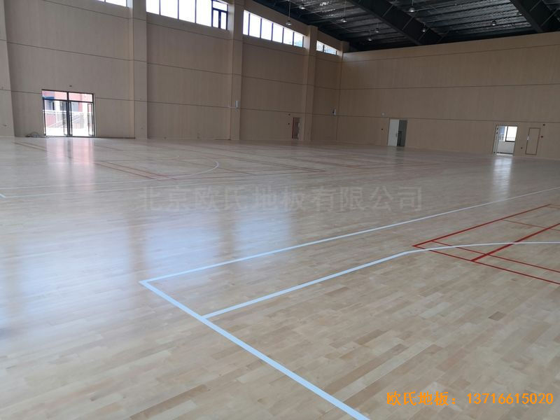 �V����혴���FӢ�ЌW(xu��)�w��ľ�ذ尲�b����