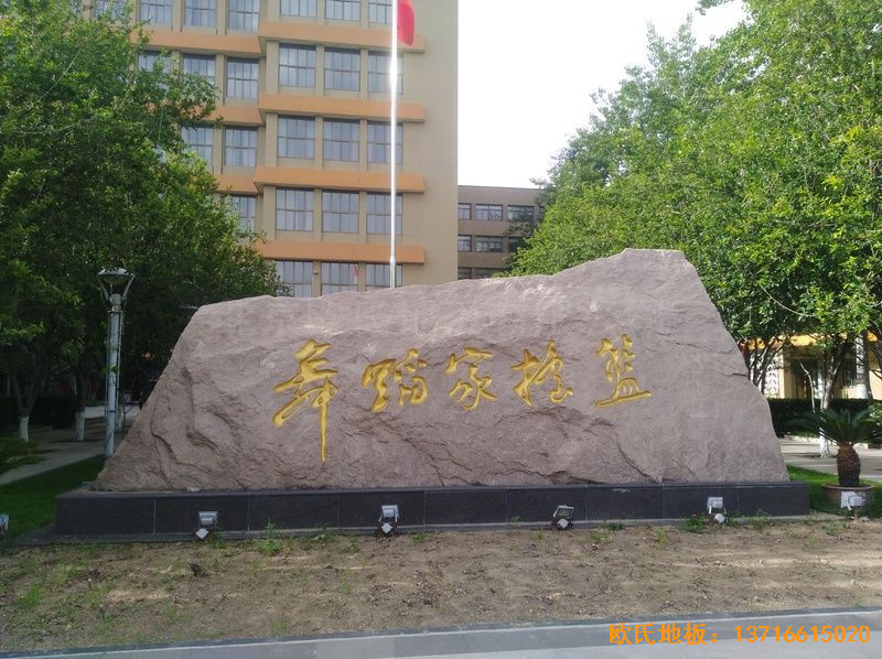 �����赸�W(xu��)Ժ�\(y��n)�ӵذ���O(sh��)����