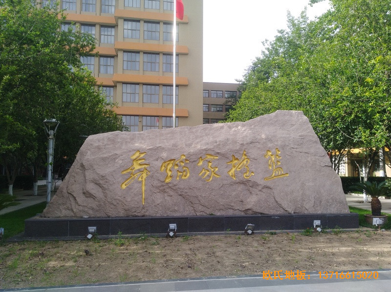 �����赸�W(xu��)Ժ�\(y��n)��(d��ng)�ذ尲�b����0