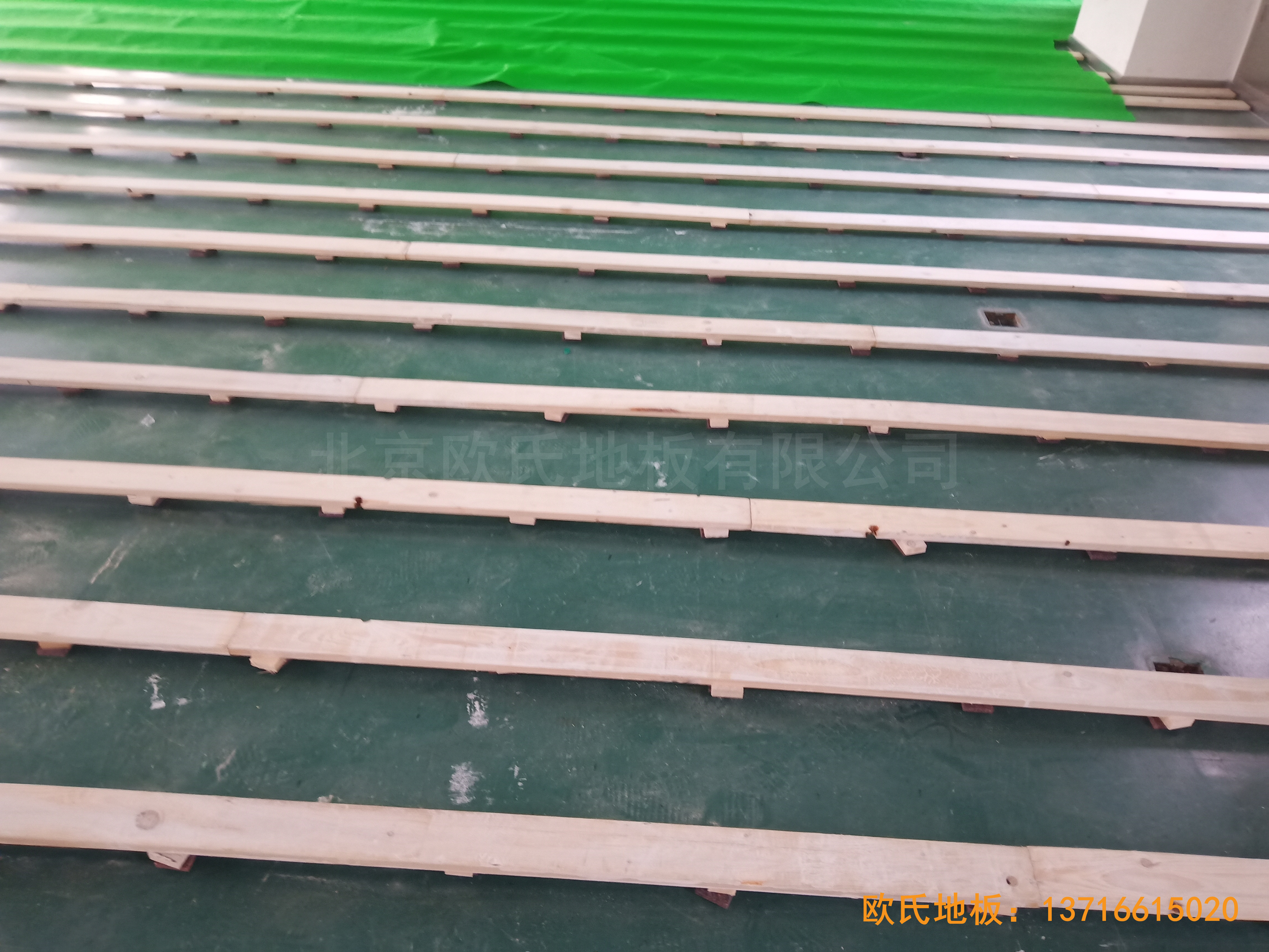 �Ї��ƌW(xu��)Ժ���g(sh��)�о����\���^�w���ذ���b����2