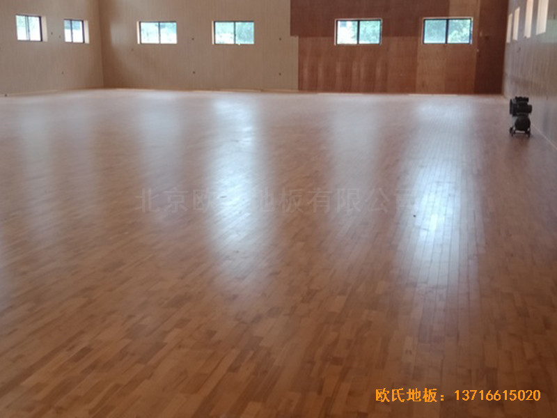 �V���ό����F�C��Ӗ(x��n)���^�\��ľ�ذ尲�b����0