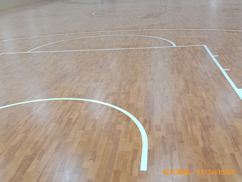 �V���ό����F�C��Ӗ(x��n)���^�\��ľ�ذ尲�b����5