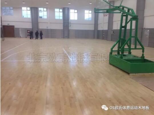 �Ї������y������������������֧�л@���^ľ�ذ尸��