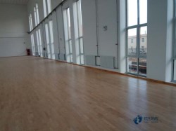 ���Ռ������_�w���^ľ�ذ�����