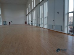 ���Ռ������_�w����ľ�ذ�Ʒ��