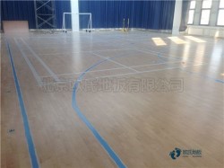 �p�����w����ľ�ذ���ô���B(y��ng)