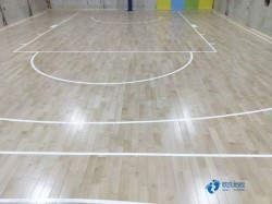 �����\�ӈ��صذ��Ă����ӱ��^��