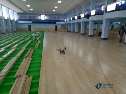 �p�����w�����^ľ�ذ屣�B(y��ng)����