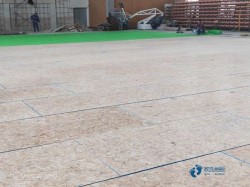�����w���@��ľ�ذ�ƽ�׃r