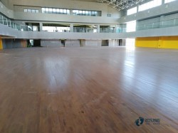 �w���\�ӵذ�Ʒ���Ă���