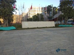 �����\(y��n)���͵ذ��ķN���Ӻ�