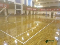 ��(y��u)�ݵĻ@���w���ذ尲�b�M(f��i)