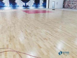 ���Ռ������_���^ľ�ذ��^�õ�