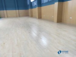 ���Ռ������_�\���͵ذ��^�õ�����Щ����