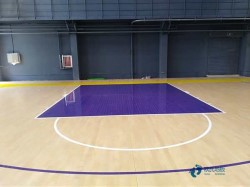 20���w����(ch��ng)ľ�ذ��Ă�(g��)�����^�h(hu��n)��
